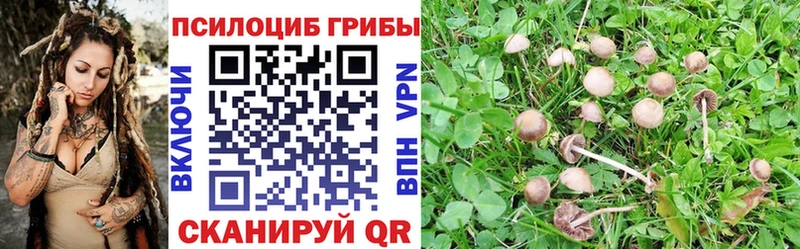 Галлюциногенные грибы прущие грибы  магазин    Пудож 